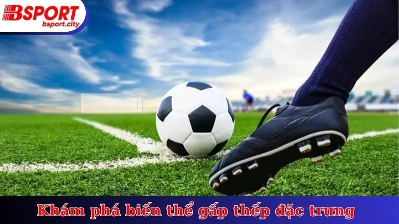 Khám phá biến thể gấp thếp đặc trưng